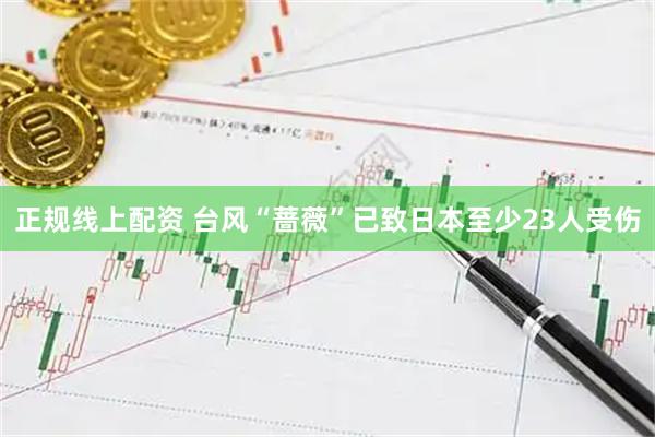 正规线上配资 台风“蔷薇”已致日本至少23人受伤